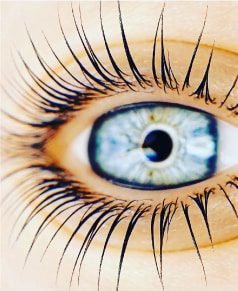 כרטיס ביקור דיגטלי ויקטוריה ריס - עין כחולה עם ריסים ארוכים